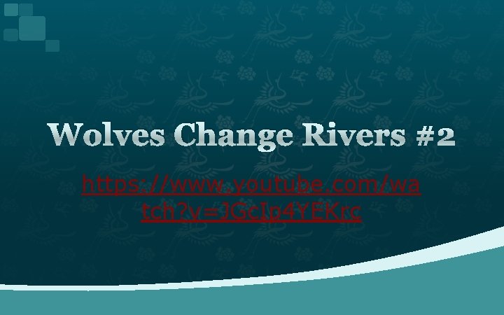 Wolves Change Rivers #2 https: //www. youtube. com/wa tch? v=JGc. Ip 4 YEKrc 