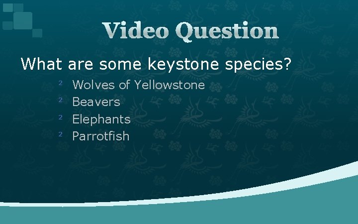 Video Question What are some keystone species? ² ² Wolves of Yellowstone Beavers Elephants