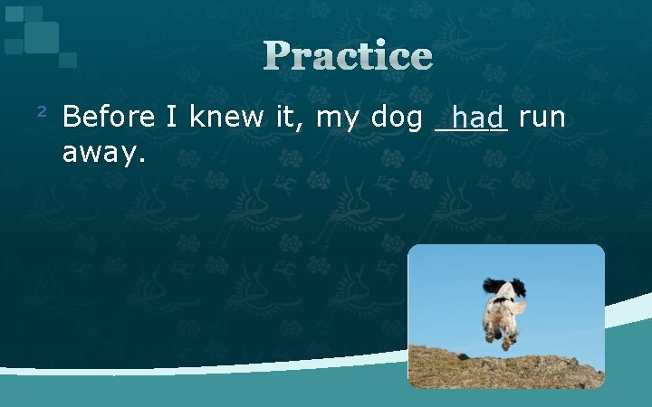 Practice ² Before I knew it, my dog ____ had run away. 