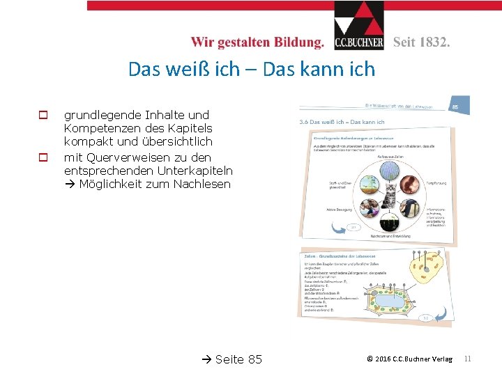 Das weiß ich – Das kann ich o o grundlegende Inhalte und Kompetenzen des