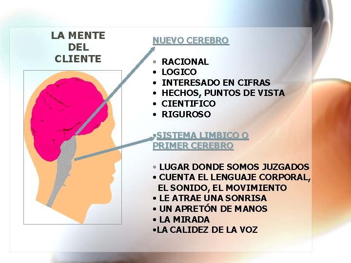 LA MENTE DEL CLIENTE NUEVO CEREBRO • • • RACIONAL LOGICO INTERESADO EN CIFRAS