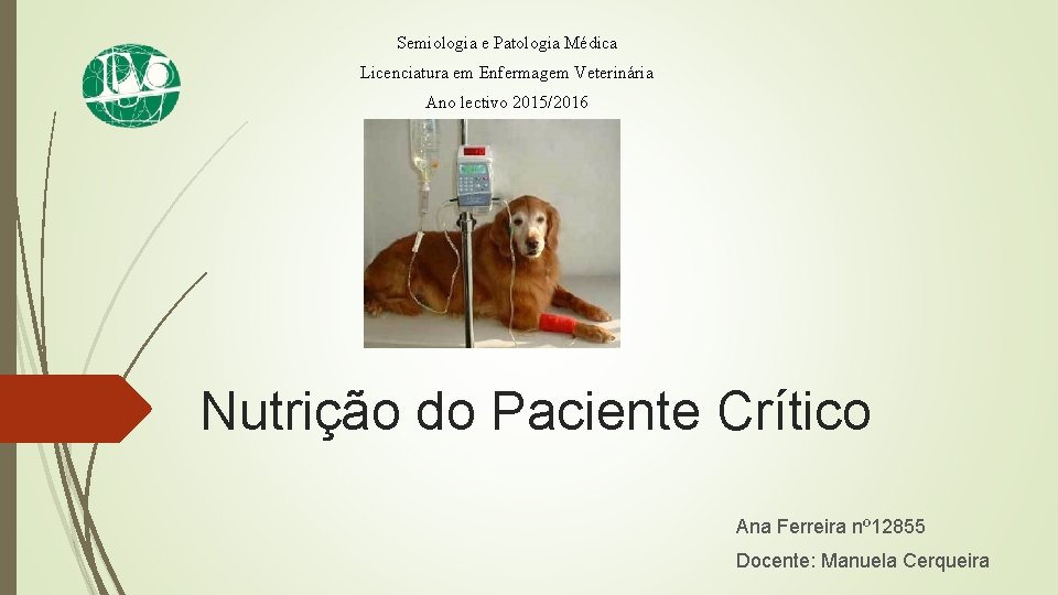 Semiologia e Patologia Médica Licenciatura em Enfermagem Veterinária Ano lectivo 2015/2016 Nutrição do Paciente