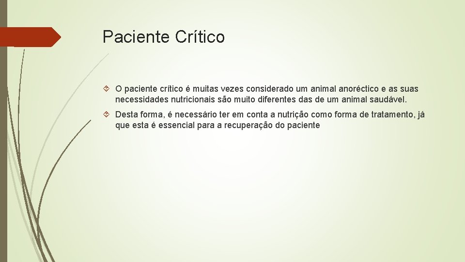 Paciente Crítico O paciente crítico é muitas vezes considerado um animal anoréctico e as