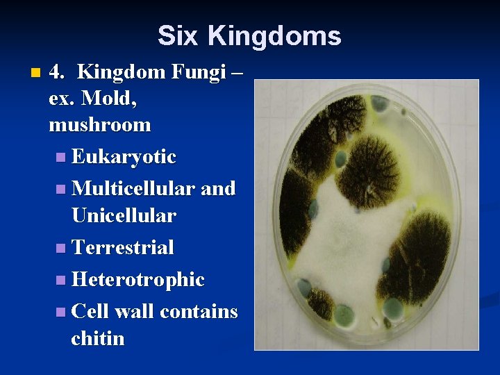 Six Kingdoms n 4. Kingdom Fungi – ex. Mold, mushroom n Eukaryotic n Multicellular