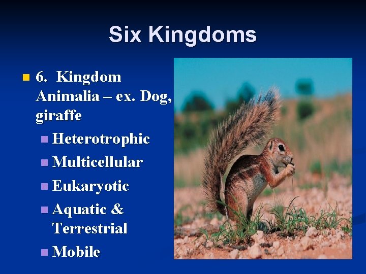 Six Kingdoms n 6. Kingdom Animalia – ex. Dog, giraffe n Heterotrophic n Multicellular