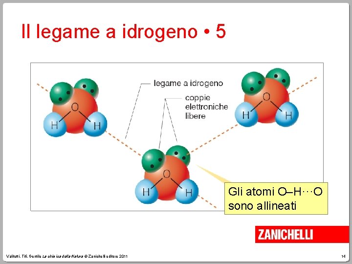 Il legame a idrogeno • 5 Gli atomi O–H···O sono allineati Valitutti, Tifi, Gentile