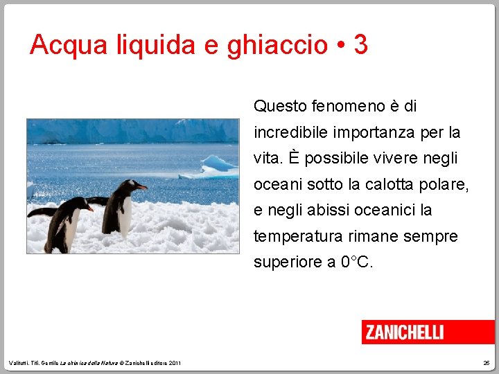 Acqua liquida e ghiaccio • 3 Questo fenomeno è di incredibile importanza per la