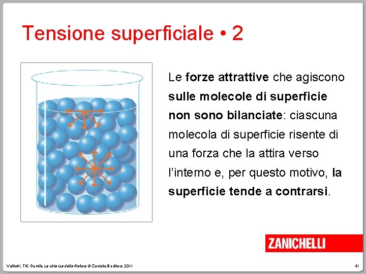 Tensione superficiale • 2 Le forze attrattive che agiscono sulle molecole di superficie non