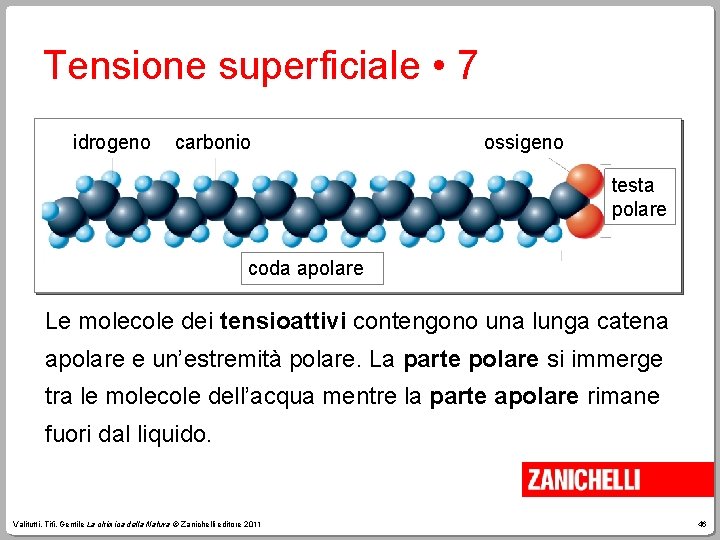 Tensione superficiale • 7 idrogeno carbonio ossigeno testa polare coda apolare Le molecole dei