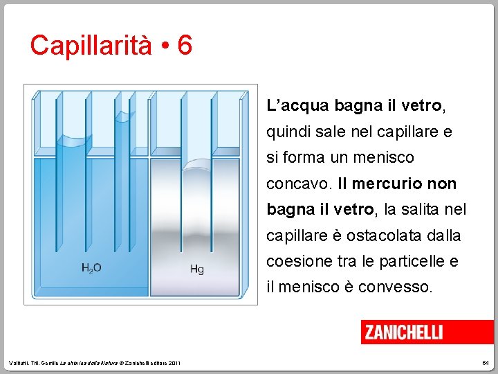 Capillarità • 6 L’acqua bagna il vetro, quindi sale nel capillare e si forma