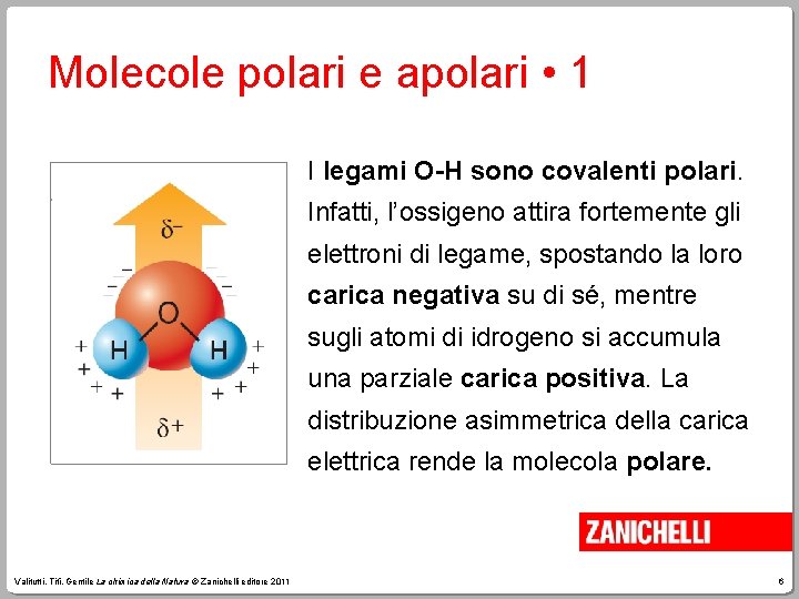 Molecole polari e apolari • 1 I legami O-H sono covalenti polari. Infatti, l’ossigeno