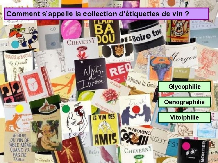 Comment s’appelle la collection d’étiquettes de vin ? Glycophilie Oenographilie Vitolphilie 