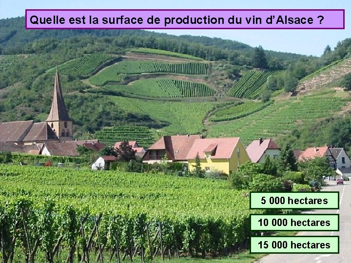 Quelle est la surface de production du vin d’Alsace ? 5 000 hectares 10