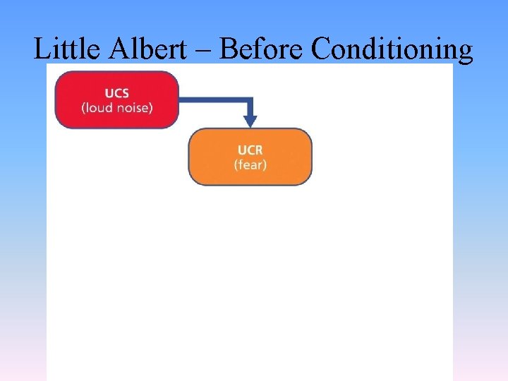 Little Albert – Before Conditioning 