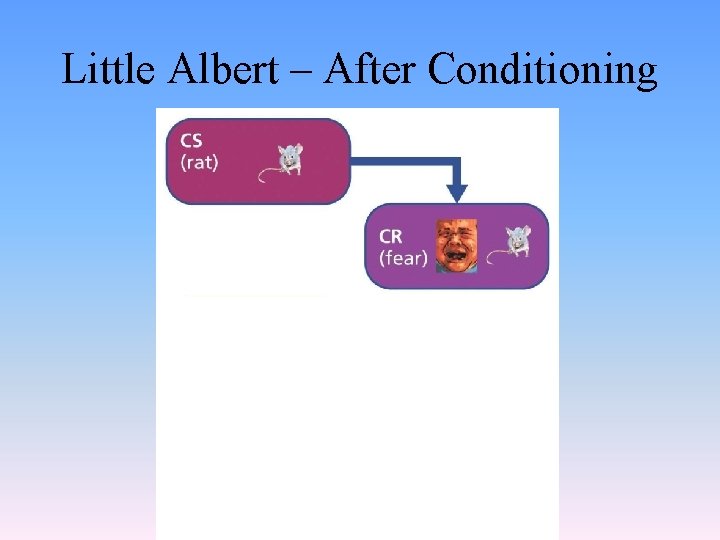 Little Albert – After Conditioning 