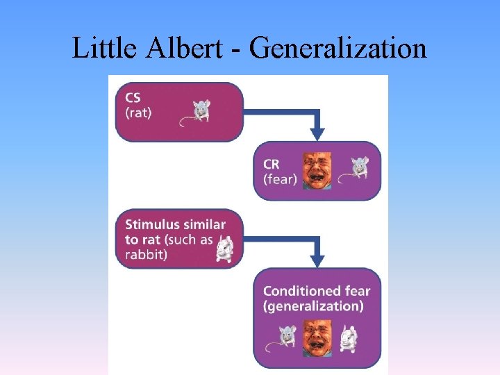 Little Albert - Generalization 