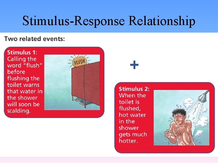 Stimulus-Response Relationship 