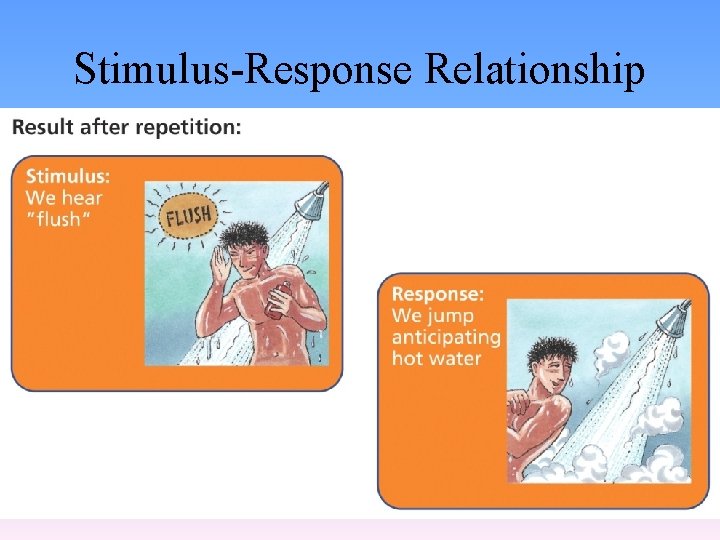 Stimulus-Response Relationship 