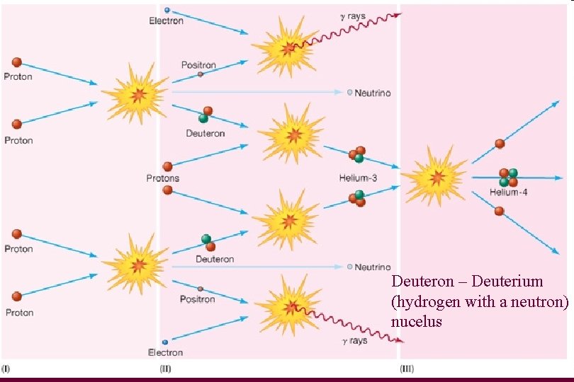 Deuteron – Deuterium (hydrogen with a neutron) nucelus 