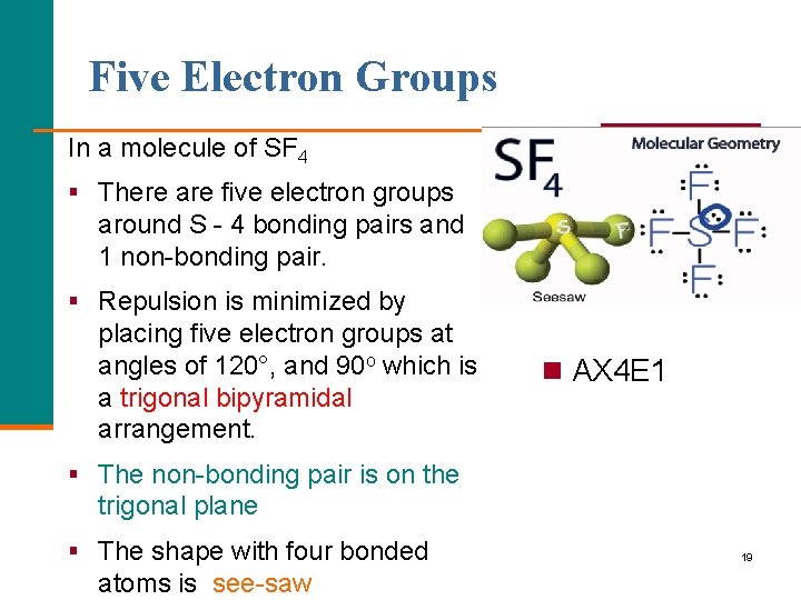 Five Electron Groups In a molecule of SF 4 § There are five electron
