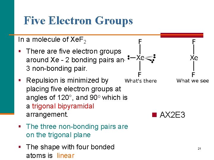 Five Electron Groups In a molecule of Xe. F 2 § There are five