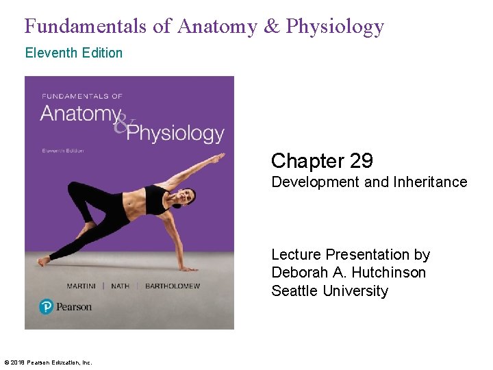 Fundamentals of Anatomy & Physiology Eleventh Edition Chapter 29 Development and Inheritance Lecture Presentation