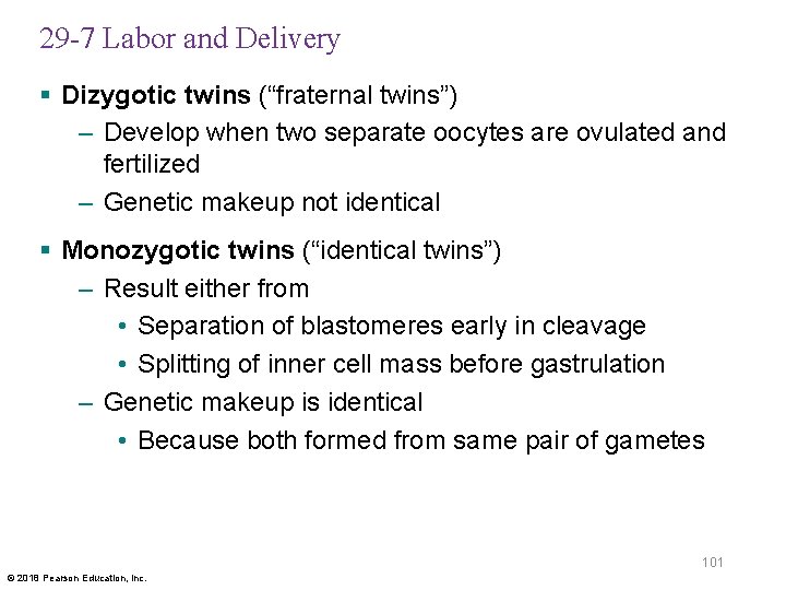 29 -7 Labor and Delivery § Dizygotic twins (“fraternal twins”) – Develop when two