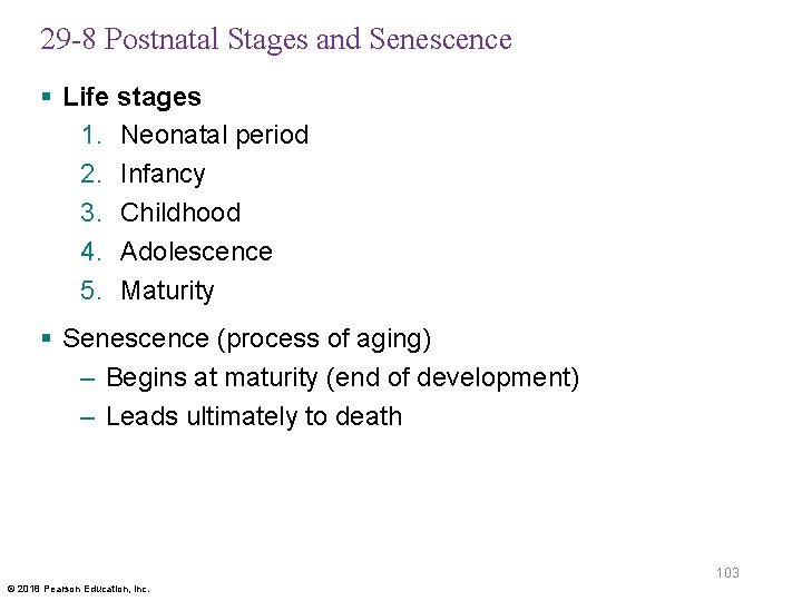 29 -8 Postnatal Stages and Senescence § Life stages 1. Neonatal period 2. Infancy