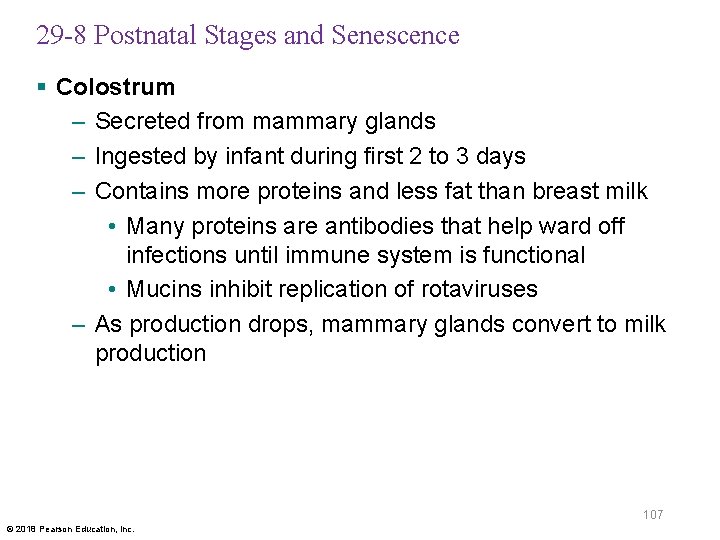 29 -8 Postnatal Stages and Senescence § Colostrum – Secreted from mammary glands –