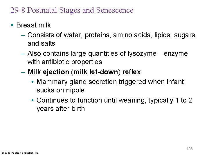 29 -8 Postnatal Stages and Senescence § Breast milk – Consists of water, proteins,