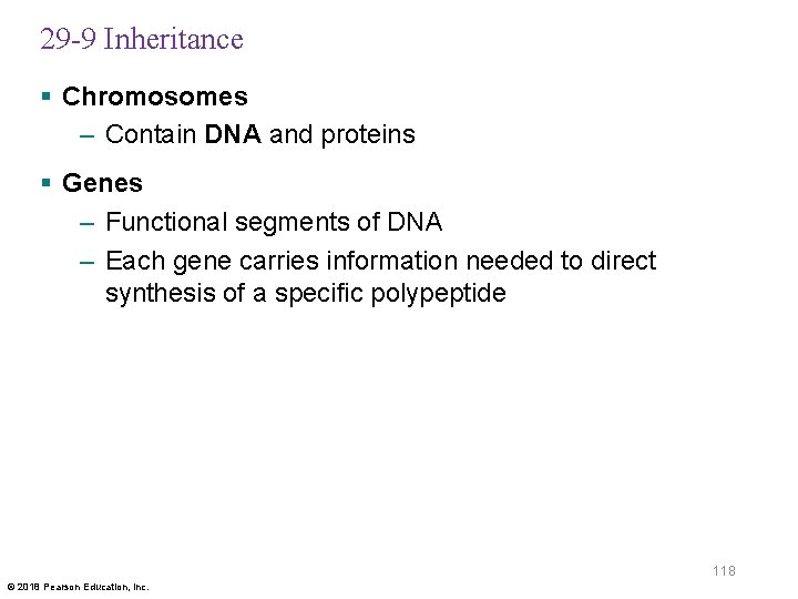 29 -9 Inheritance § Chromosomes – Contain DNA and proteins § Genes – Functional