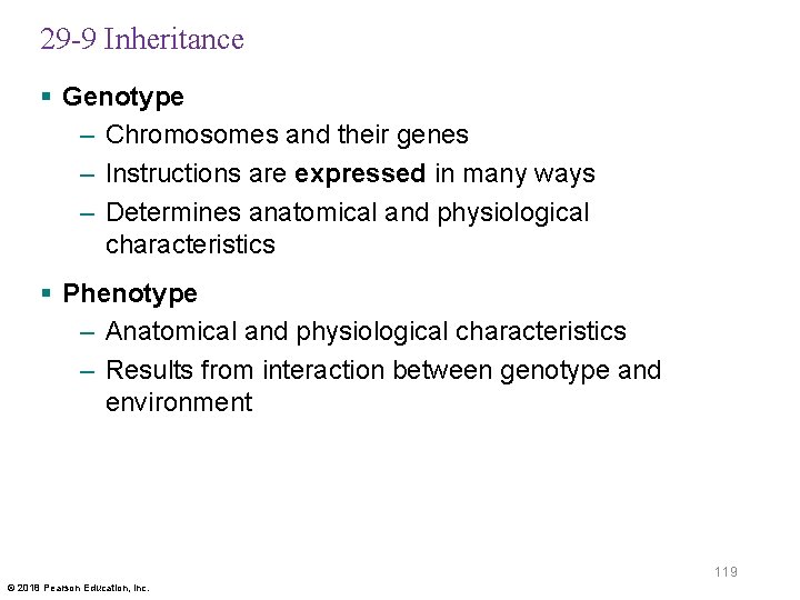 29 -9 Inheritance § Genotype – Chromosomes and their genes – Instructions are expressed