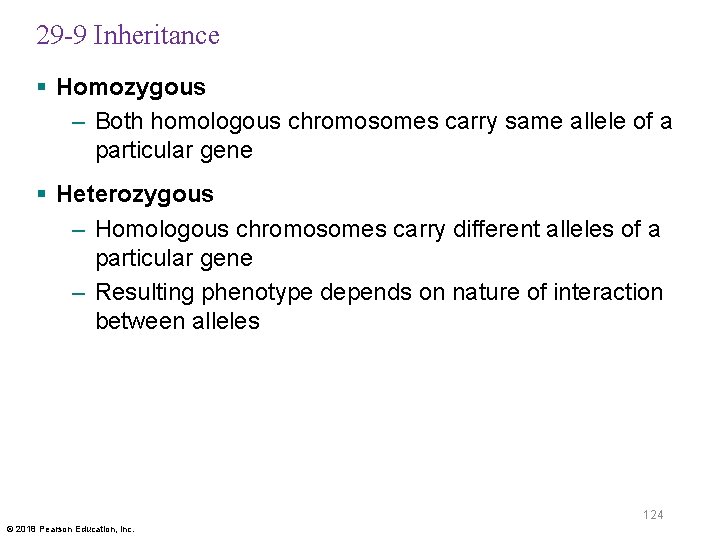 29 -9 Inheritance § Homozygous – Both homologous chromosomes carry same allele of a