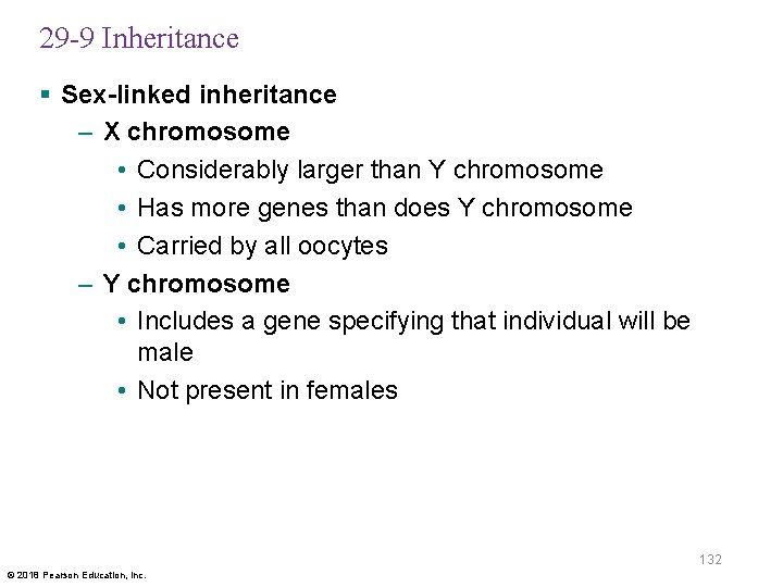 29 -9 Inheritance § Sex-linked inheritance – X chromosome • Considerably larger than Y