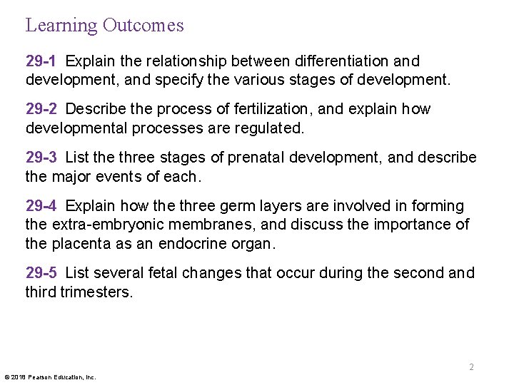 Learning Outcomes 29 -1 Explain the relationship between differentiation and development, and specify the