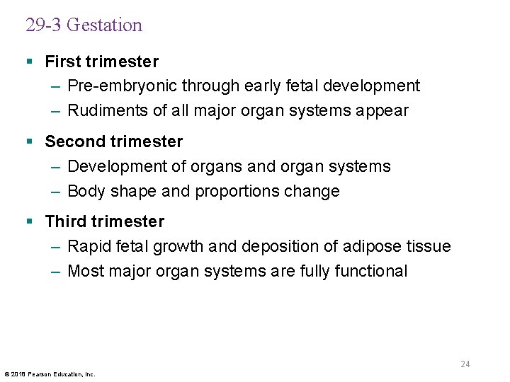 29 -3 Gestation § First trimester – Pre-embryonic through early fetal development – Rudiments