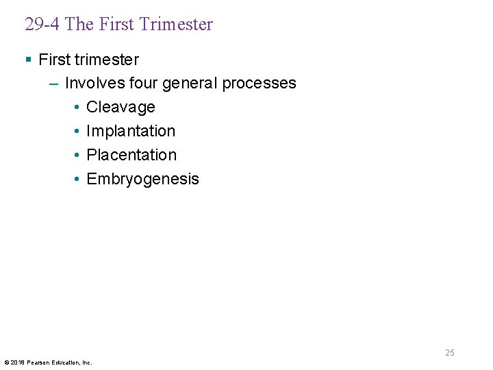 29 -4 The First Trimester § First trimester – Involves four general processes •