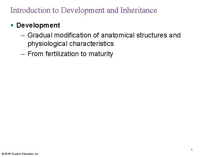 Introduction to Development and Inheritance § Development – Gradual modification of anatomical structures and