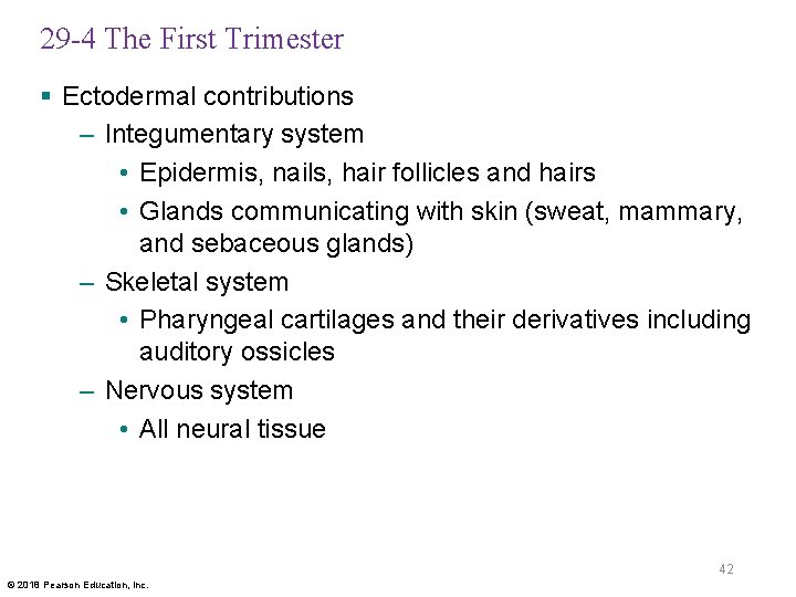 29 -4 The First Trimester § Ectodermal contributions – Integumentary system • Epidermis, nails,