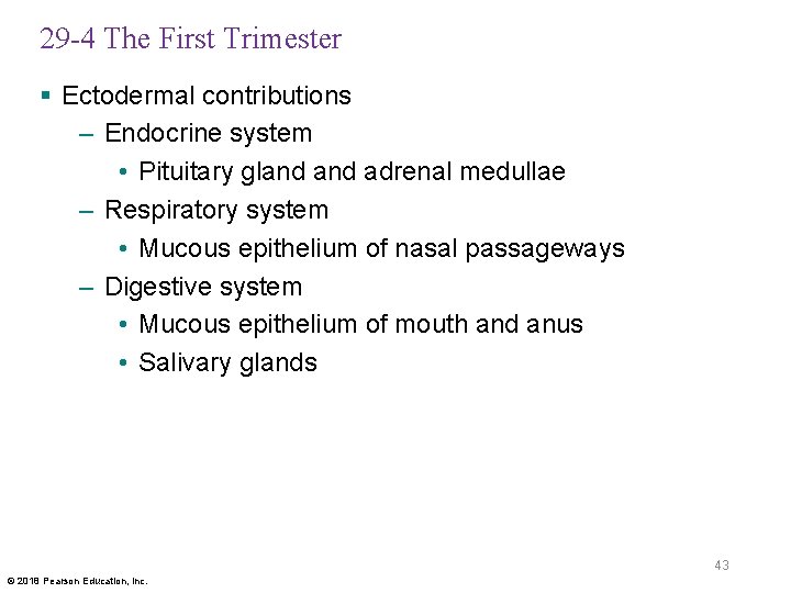 29 -4 The First Trimester § Ectodermal contributions – Endocrine system • Pituitary gland