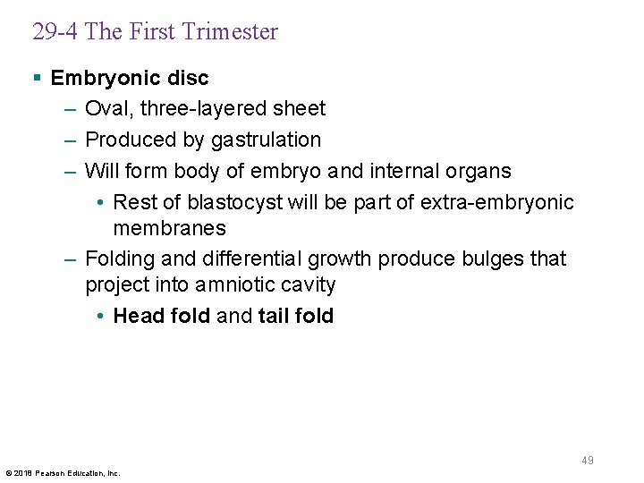 29 -4 The First Trimester § Embryonic disc – Oval, three-layered sheet – Produced