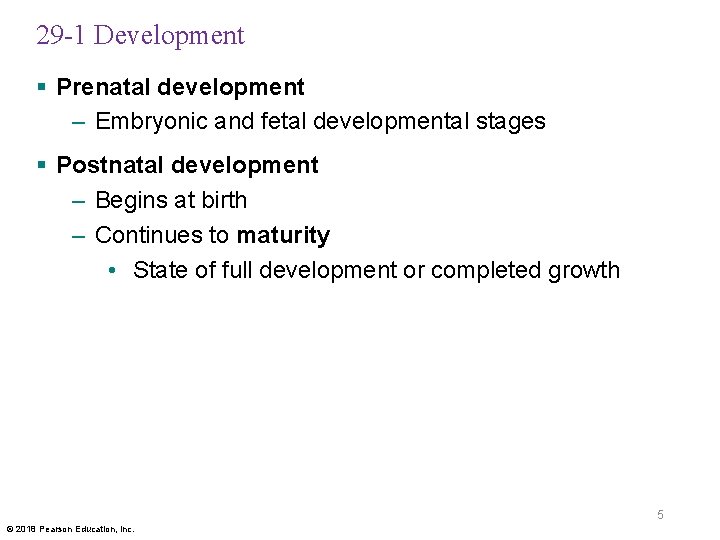 29 -1 Development § Prenatal development – Embryonic and fetal developmental stages § Postnatal
