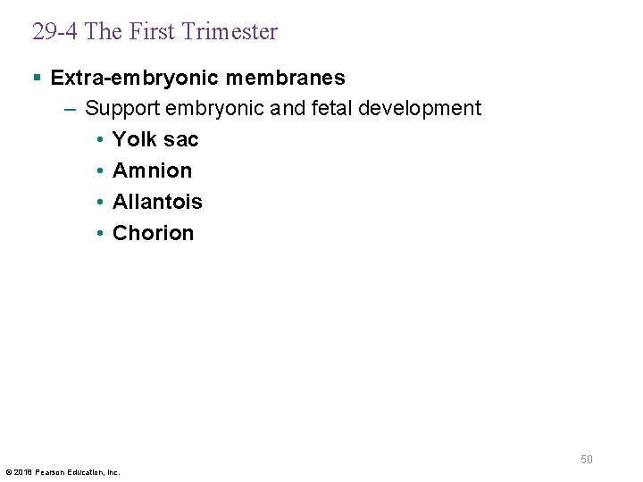29 -4 The First Trimester § Extra-embryonic membranes – Support embryonic and fetal development