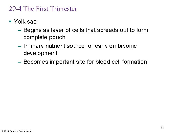 29 -4 The First Trimester § Yolk sac – Begins as layer of cells