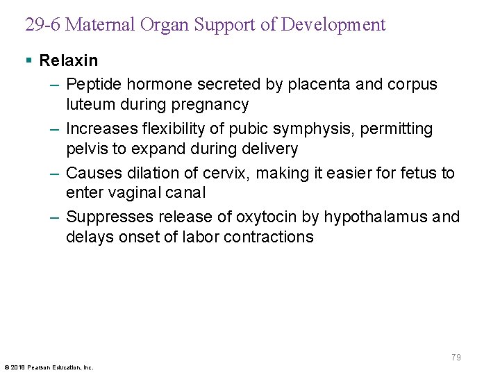 29 -6 Maternal Organ Support of Development § Relaxin – Peptide hormone secreted by