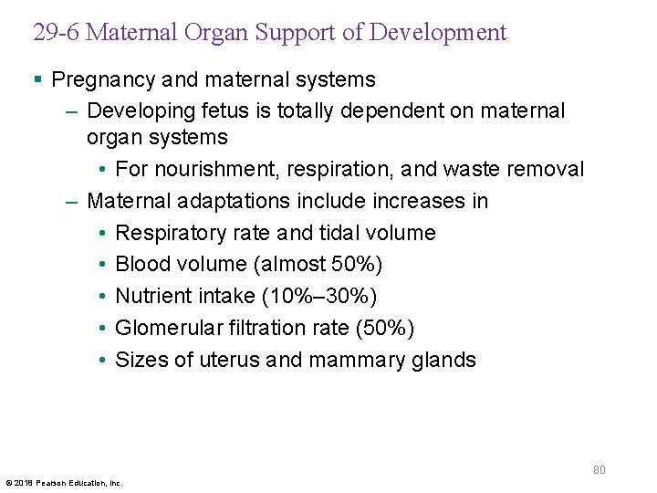 29 -6 Maternal Organ Support of Development § Pregnancy and maternal systems – Developing