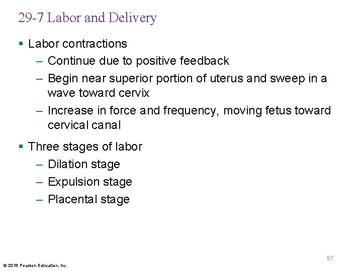 29 -7 Labor and Delivery § Labor contractions – Continue due to positive feedback
