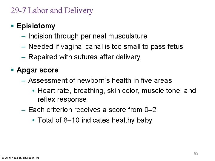 29 -7 Labor and Delivery § Episiotomy – Incision through perineal musculature – Needed