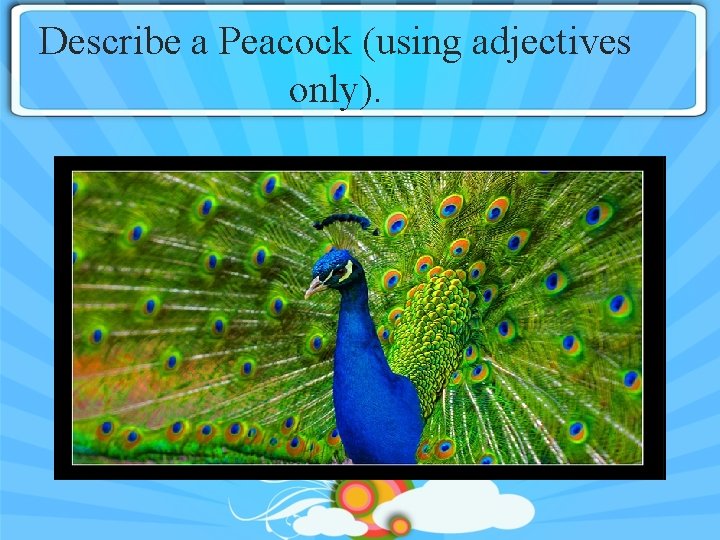 Describe a Peacock (using adjectives only). 