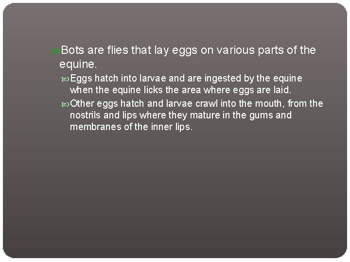  Bots are flies that lay eggs on various parts of the equine. Eggs